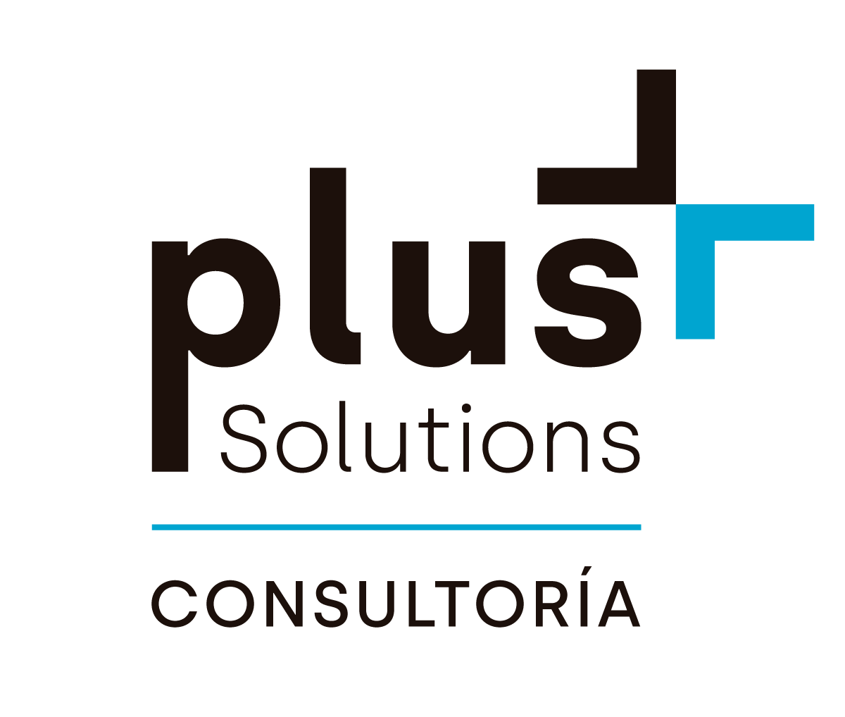 Consultoría Normativa Plus Solutions 6527